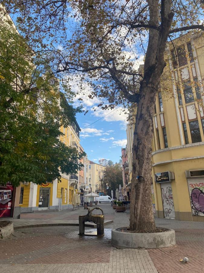 Anthora Hostel بلوفديف المظهر الخارجي الصورة